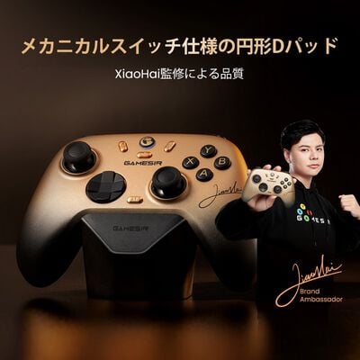 GameSir  Nova2 Lite Gray (ワイヤレス ゲームパッド グレー) 