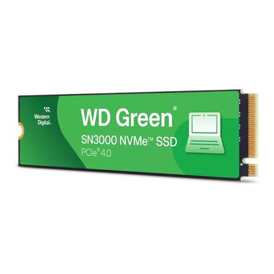 Western Digital  WD Green SN3000 WDS500G4G0E (M.2 2280 500GB) 