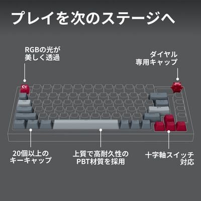 Logicool  G-KEYCAPS G-KC-SP (Spike) 