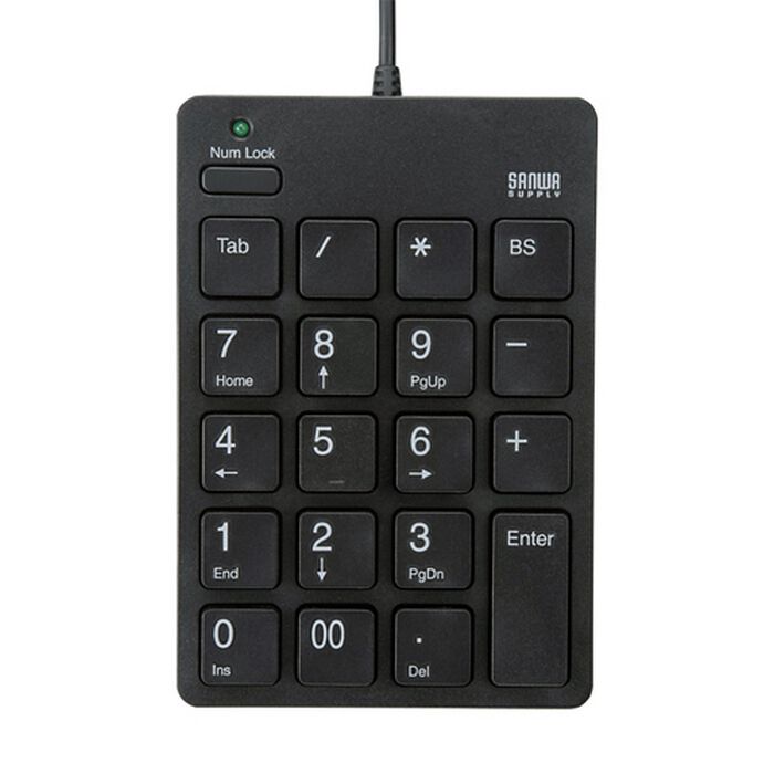 キースドラゴンのみ　※専用※ drgn02-00261-m01.jpg