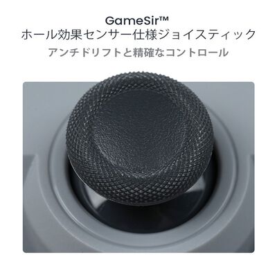 GameSir  Tegenaria Lite White (有線 ゲームパッド ホワイト) 