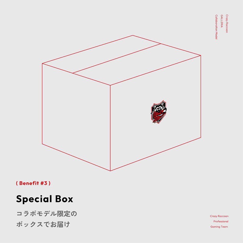 GALLERIA CRA9C-R59 Intel Core Ultra搭載 Crazy Raccoon コラボモデル