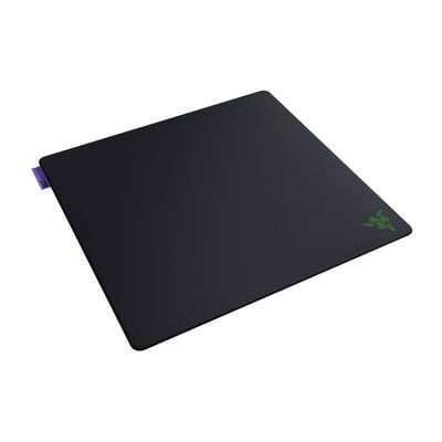 Razer  Gigantus V2 Pro L Max Control (RZ02-05490100-R3M1) 
