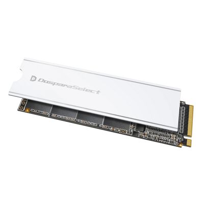 ドスパラセレクト  PGX4-010TA1 (M.2 2280 1TB) 