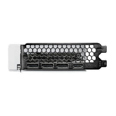 Palit  NE7506TU19P1-GB2062M (GeForce RTX 5060 Ti White OC 8GB) 