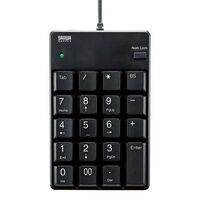 サンワサプライ  NT-17UBKN USBテンキー（ブラック） 