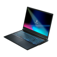 GALLERIA RL7C-R55-5N