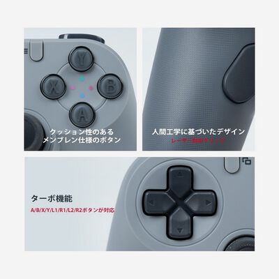GameSir  Tegenaria Lite White (有線 ゲームパッド ホワイト) 