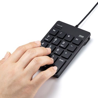 サンワサプライ  NT-18CUHBK USBテンキー（Type-Cコネクタ・USB2.0ハブ付き） 