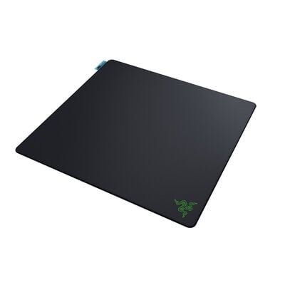 Razer  Gigantus V2 Pro L Control (RZ02-05490400-R3M1) 