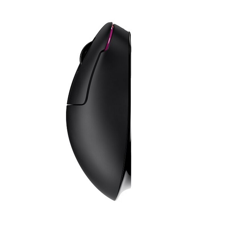 マウス・トラックボール Pulsar ZywOo The chosen mouse Pulsar ZywOo the Chosen Mouse Medium - Black - us.MaxGaming.com