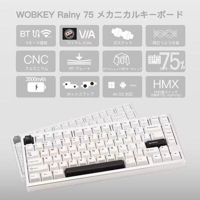 WOBKEY  Rainy 75 Lite LR75SIL (シルバー) 