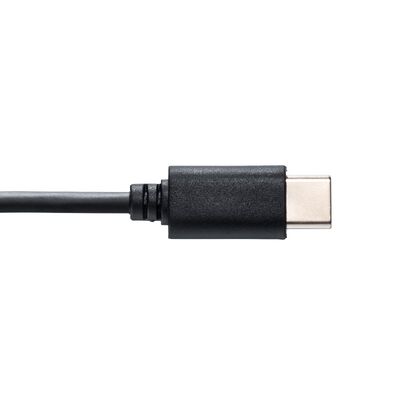 サンワサプライ  MM-MCTC01BK (USB Type-Cマイク) 