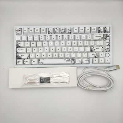 【佐賀南部バイパス店】中古  Everglide SU75 youth 5250001468 