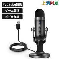 上海問屋  ノイズリダクション付きUSB接続コンデンサーマイク DN-916233 [donya_audio] 