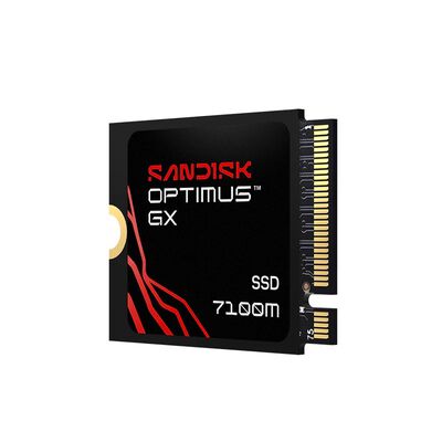 SanDisk  Optimus GX 7100M SDSP71100TAT-000E0 (M.2 2230 Gen4 1TB) 