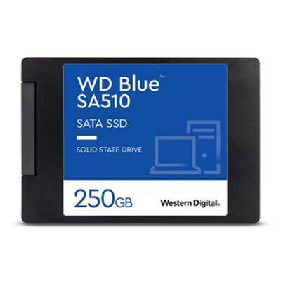 Western Digital  WD Blue SA510 WDS250G3B0A (250GB) 