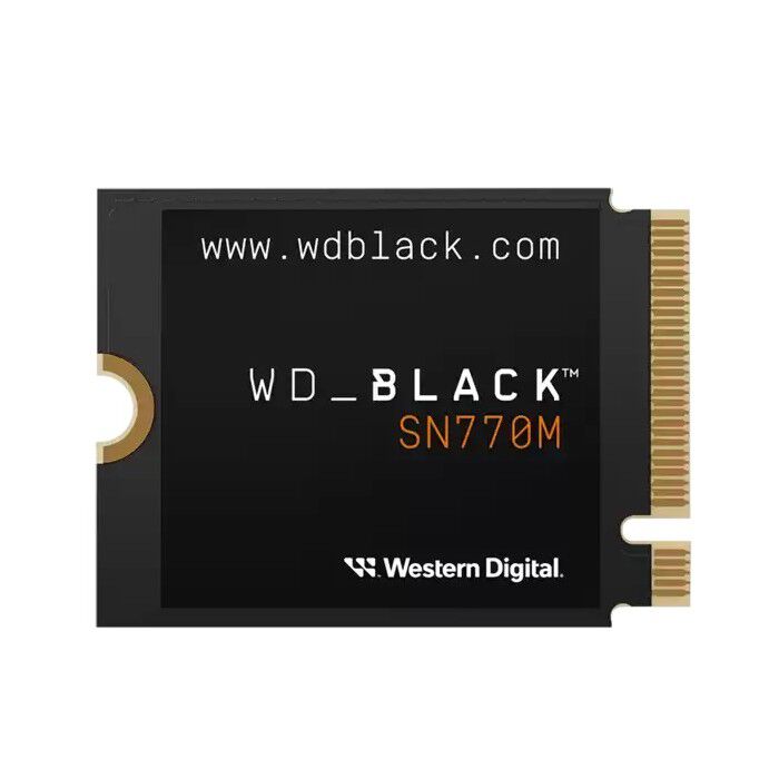 Western Digital WD Black SN770M WDS100T3X0G (M.2 2230 1TB