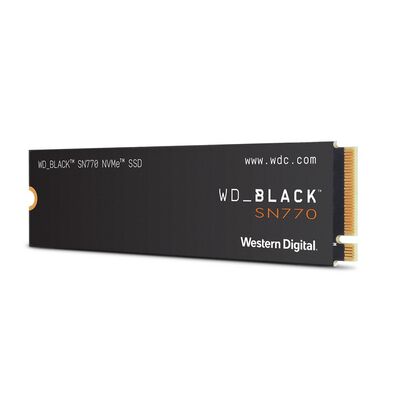 Western Digital  WD Black SN770 WDS100T3X0E (M.2 2280 1TB) 
