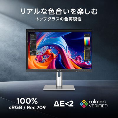 ASUS  ProArt Display PA248QV Gen2 PA248QFV-P (24.1インチワイド 液晶モニター) ドスパラ限定モデル 