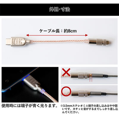 上海問屋  USB Type-C ポータブルDAC(CS46L41/384kHz/32bit)  DN-916047 [3.5mmステレオミニ端子変換]