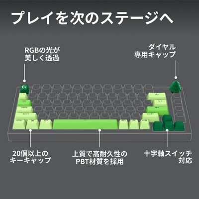 Logicool  G-KEYCAPS G-KC-FR (Forest) 