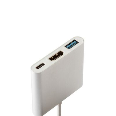 THIRDWAVE  USB Type-Cハブ (raytrektab対応) 