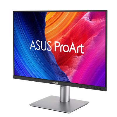 ASUS  ProArt Display PA248QV Gen2 PA248QFV-P (24.1インチワイド 液晶モニター) ドスパラ限定モデル 