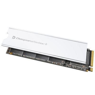 ドスパラセレクト  PG4-500GA1 (M.2 2280 500GB) 
