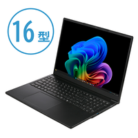 THIRDWAVE DX-16PN7A-B 法人モデル