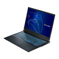 GALLERIA RL7C-R56-C5N