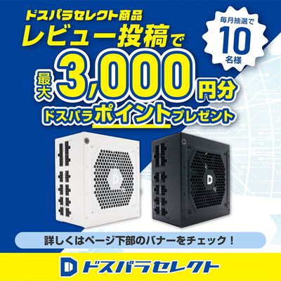 ドスパラセレクト  1000W-GOLD-ATX31-BK (1000W ブラック) 