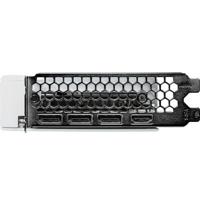 Palit  NE75060U19P1-GB2063M (GeForce RTX 5060 WHITE OC 8GB) 
