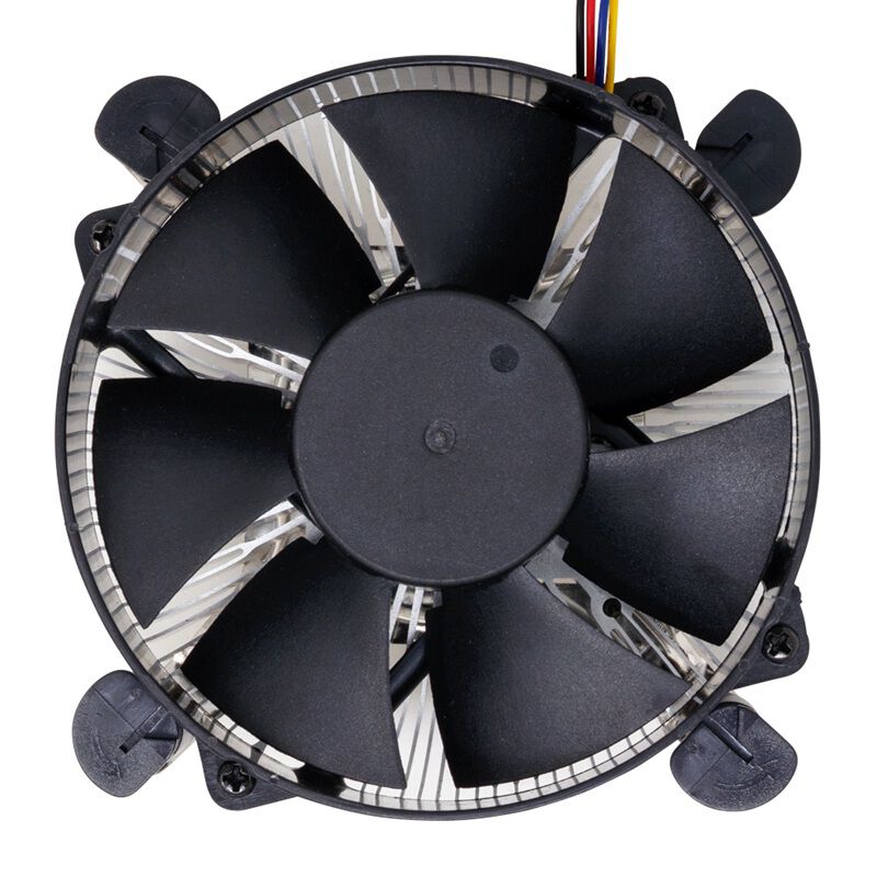 ラトゥラーNU 新品未使用 ラトゥラー NU Radical / RATTLER NU : メビウス ストア MEBIUS