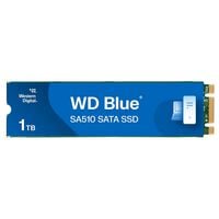 Western Digital  WD Blue SA510 WDS100T3B0B (M.2 2280 1TB) 