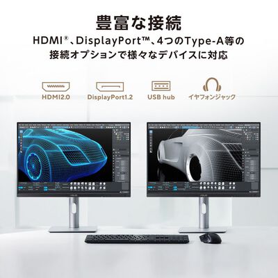 ASUS  ProArt Display PA248QV Gen2 PA248QFV-P (24.1インチワイド 液晶モニター) ドスパラ限定モデル 