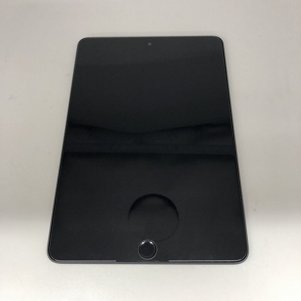 中古 Apple iPad mini （第5世代/2019） Wi-Fi + Cellular 256GB