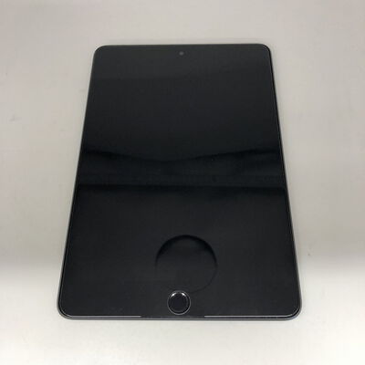 【宇都宮鶴田店】中古  Apple iPad mini （第5世代/2019） Wi-Fi + Cellular 256GB スペースグレイ 国内版SIMロックフリー MUXC2J/A 139408 