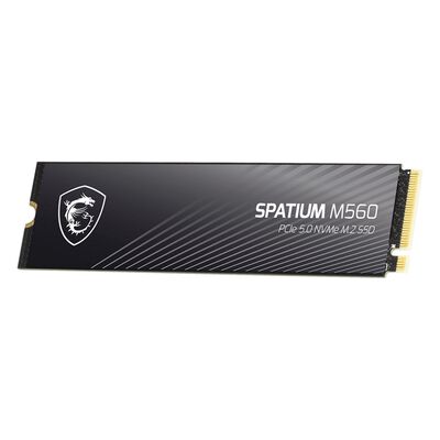 MSI  SPATIUM M560 PCIe 5.0 NVMe M.2 2TB (M.2 2280 2TB) 