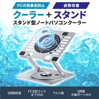 サンワサプライ  TK-CLN30U (スタンド型ノートPCクーラー) 