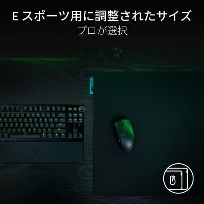 Razer  Gigantus V2 Pro L Control (RZ02-05490400-R3M1) 