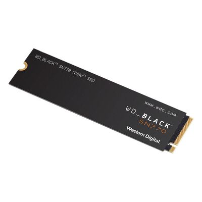 Western Digital  WD Black SN770 WDS100T3X0E (M.2 2280 1TB) 