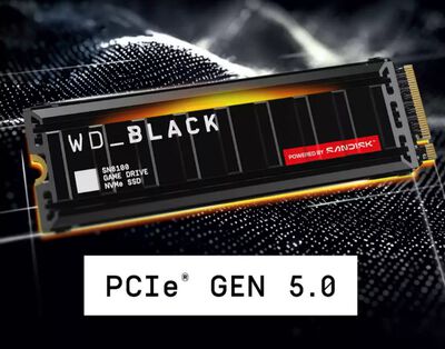 Western Digital  WD Black SN8100 WDS100T1XHM (M.2 2280 1TB ヒートシンク搭載) 
