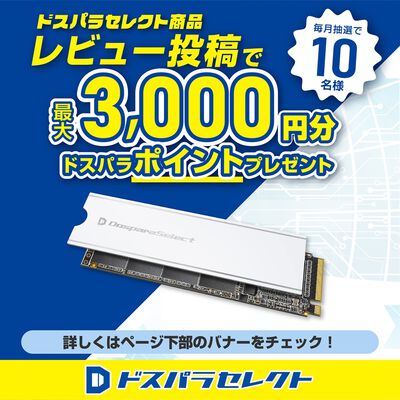 ドスパラセレクト  PGX4-010TA1 (M.2 2280 1TB) 