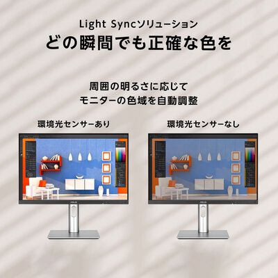 ASUS  ProArt Display PA248QV Gen2 PA248QFV-P (24.1インチワイド 液晶モニター) ドスパラ限定モデル 
