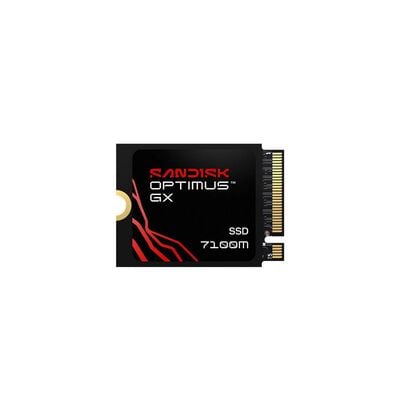 SanDisk  Optimus GX 7100M SDSP71200TAT-000E0 (M.2 2230 Gen4 2TB) 