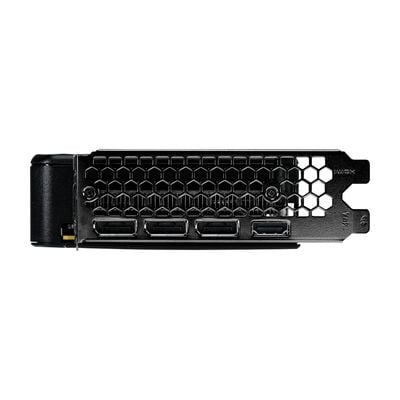 Palit  NE65050019P1-GB2070D (GeForce RTX 5050 Dual 8GB) 