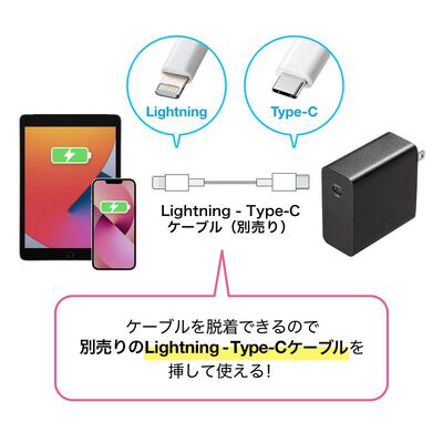 サンワサプライ  ACA-PD91BK (USB PD対応AC充電器 PD65W・Type-Cケーブル付き) 