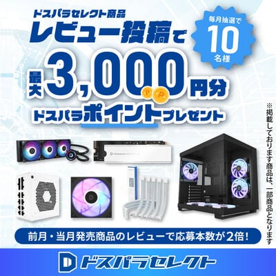 ドスパラセレクト  1000W-GOLD-ATX31-BK (1000W ブラック) 