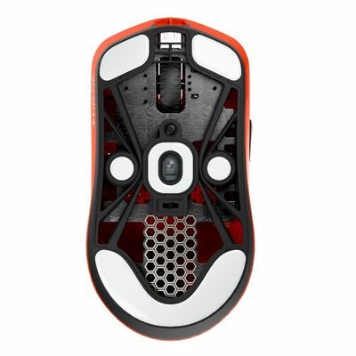LAMZU  MAYA X 8K FNATIC SPECIAL EDITION (MS0005-002) 